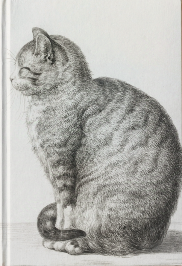 {079} Gato de perfil