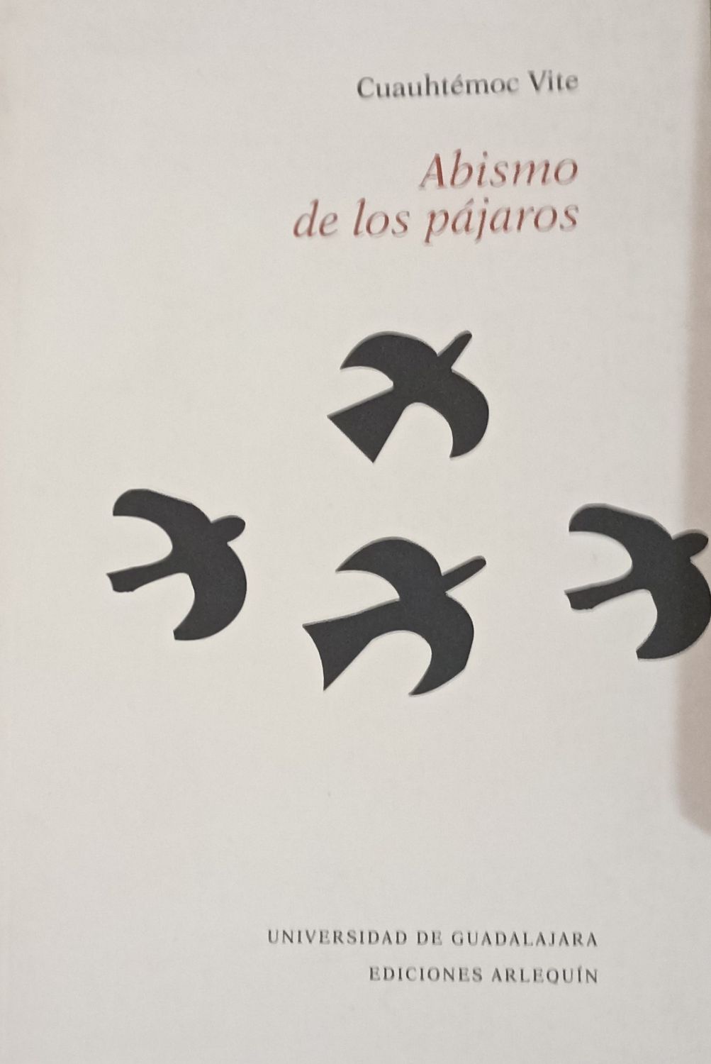 Abismo de los pájaros