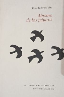 Abismo de los pájaros