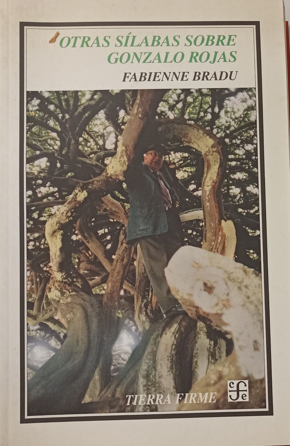 Bradu, Otras sílabas sobre Gonzalo Rojas