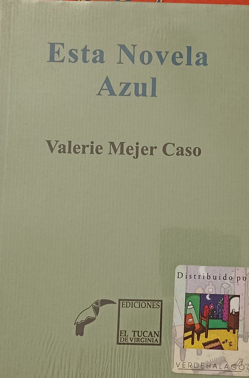Valerie Mejer Caso, Esta novela azul