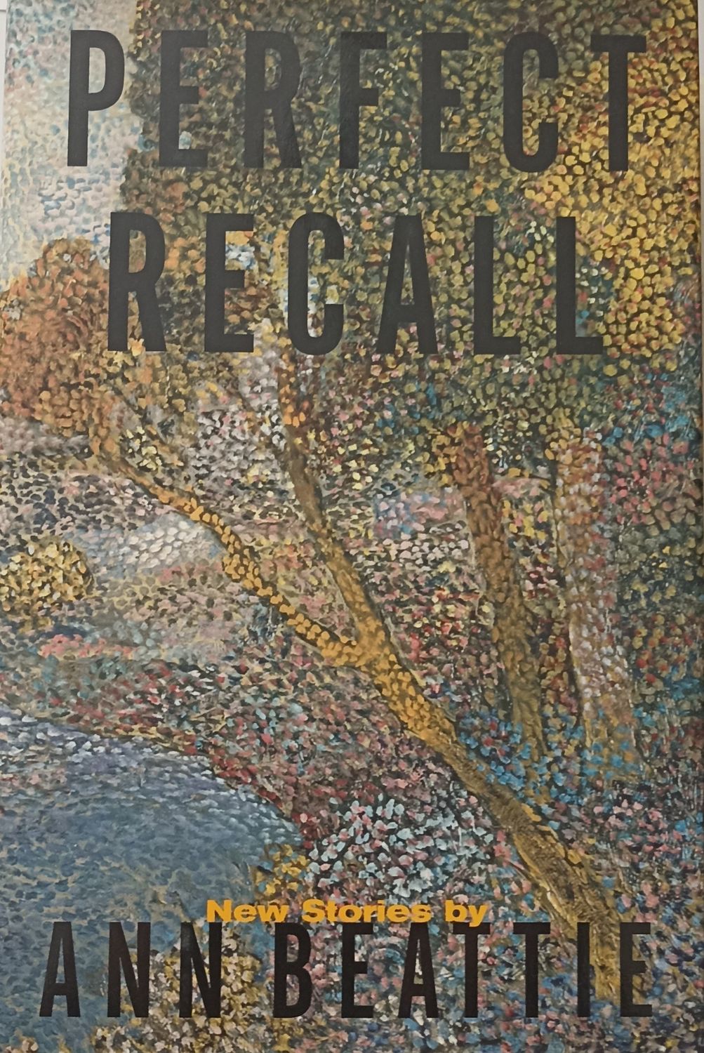 Ann Beattie, Perfect Recall