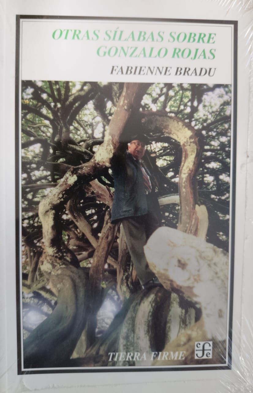 Otras sílabas sobre Gonzalo Rojas