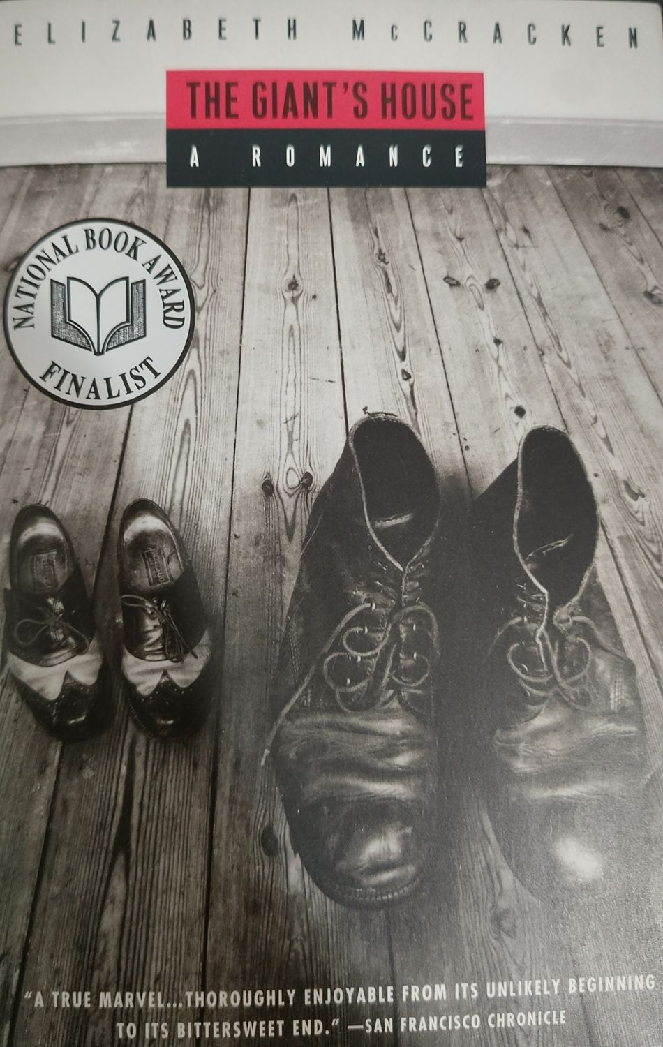 The Giant"s house, a romance