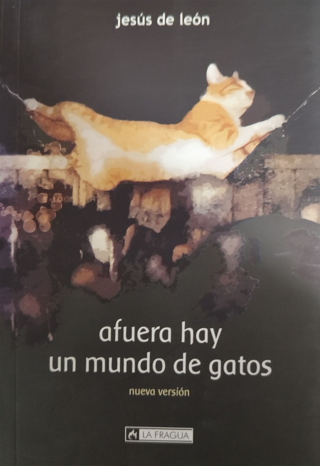 afuera hay un mundo de gatos