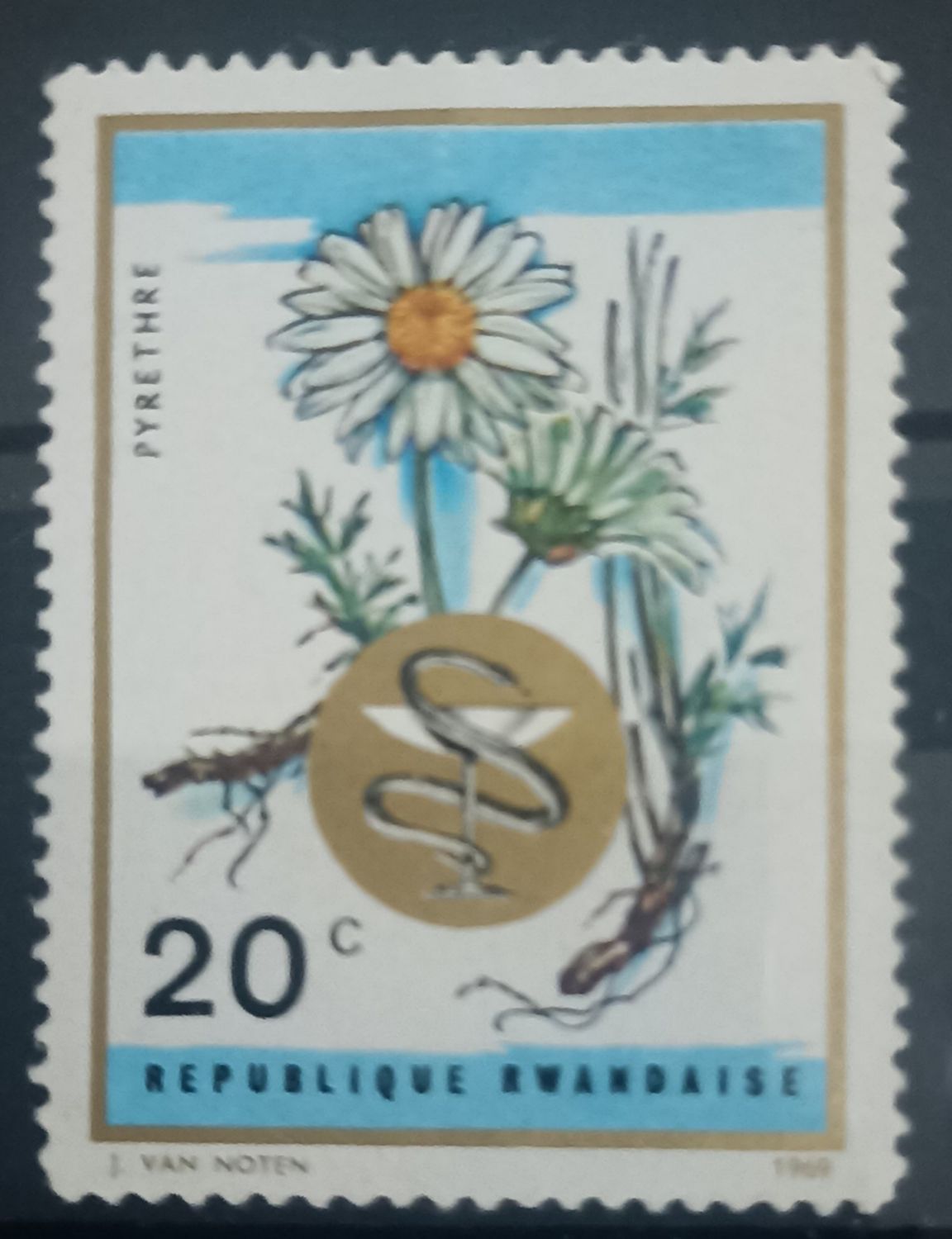 Ruanda 1969, Pyrethre planta medicinal