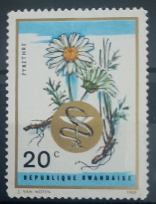 Ruanda 1969, Pyrethre planta medicinal