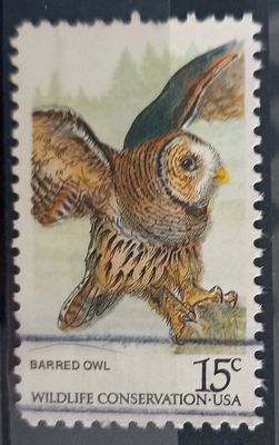 USA 1978, Búho Barrado