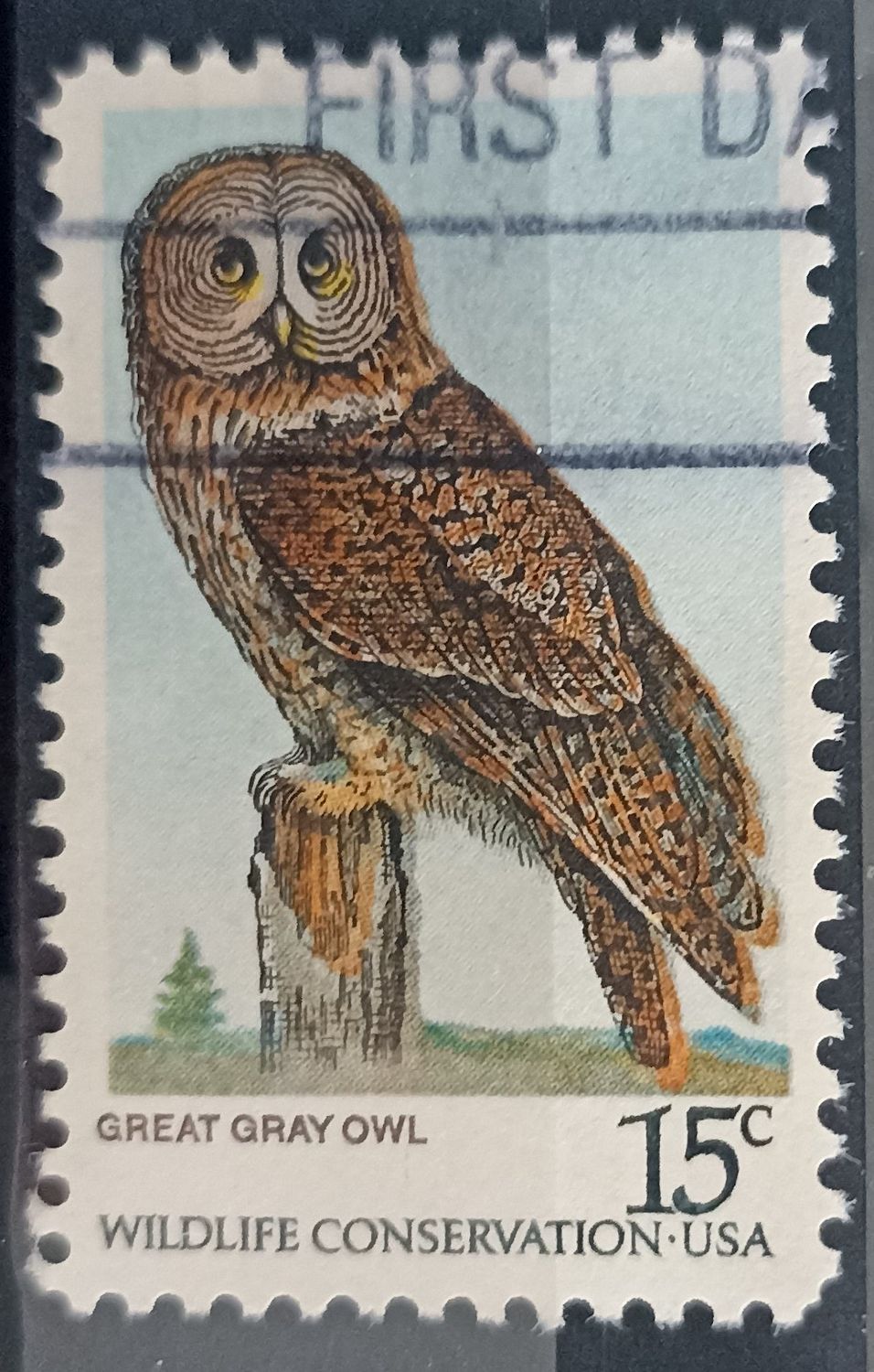 USA 1978, Búho Gris