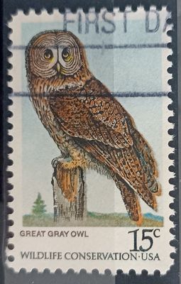 USA 1978, Búho Gris