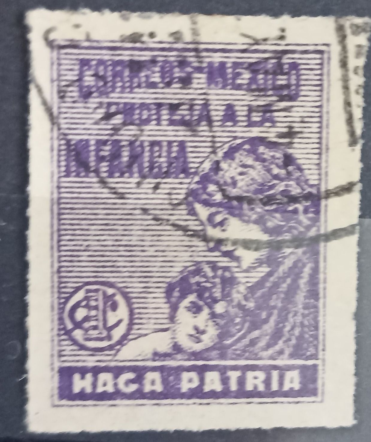 MÉXICO 1929, Proteja a la Infancia