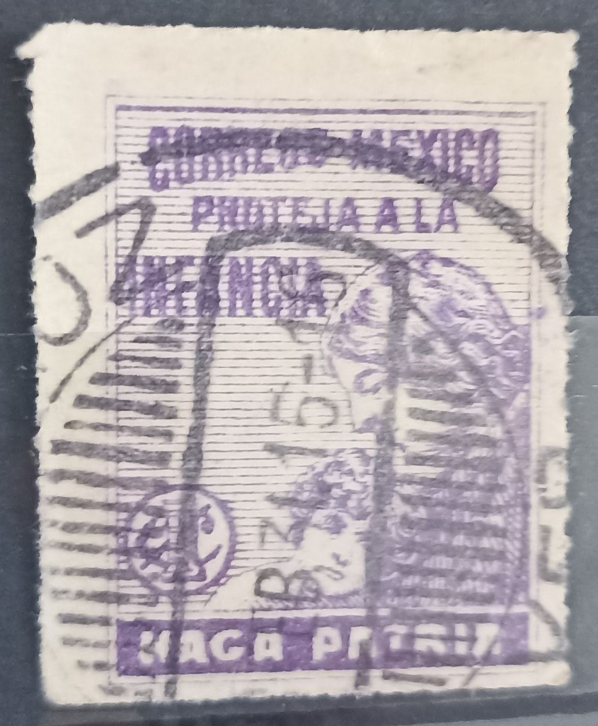 MÉXICO 1929, Proteja a la Infancia