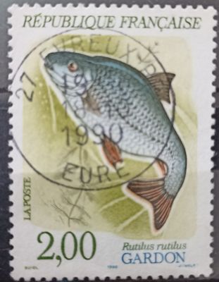 Francia 1990 Fauna fluvial Gardon Rutilus rutilus