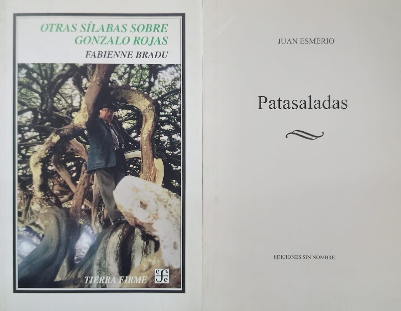Otras sílabas sobre Gonzalo Rojas - Fabienne Bradu y Patasaladas