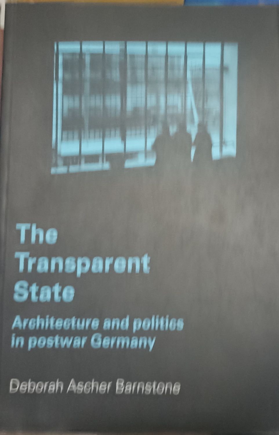 The Transparent State – Deborah Ascher Barnstone