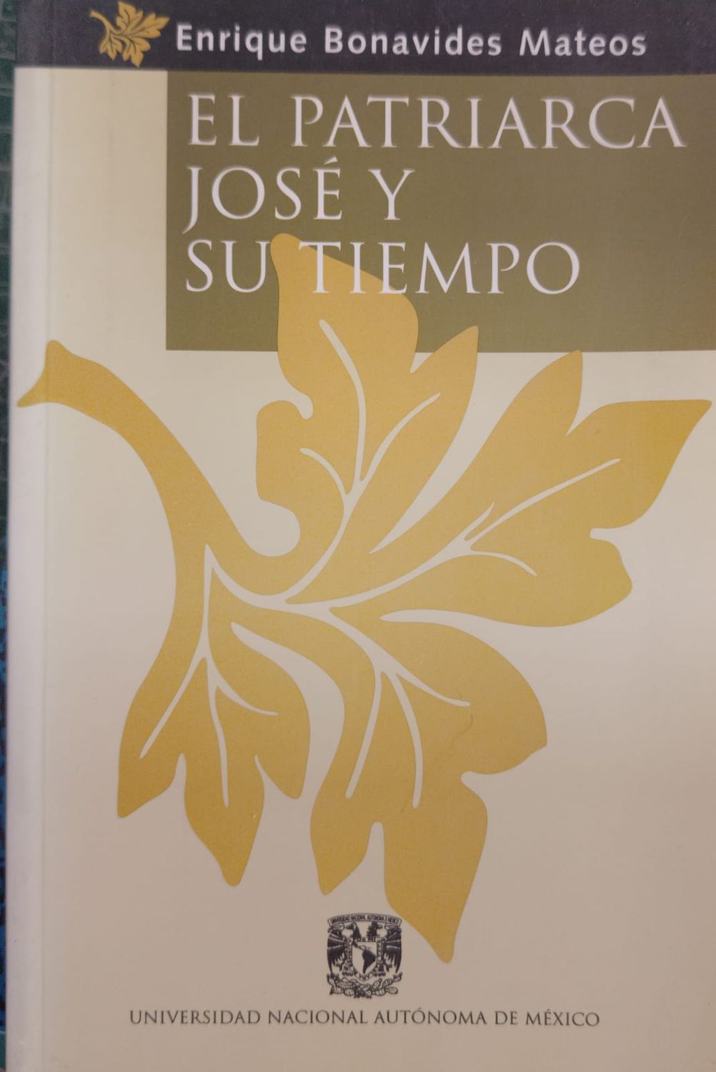 EL PATRIARCA JOSE Y SU TIEMPO – Enrique Bonavides Mateos