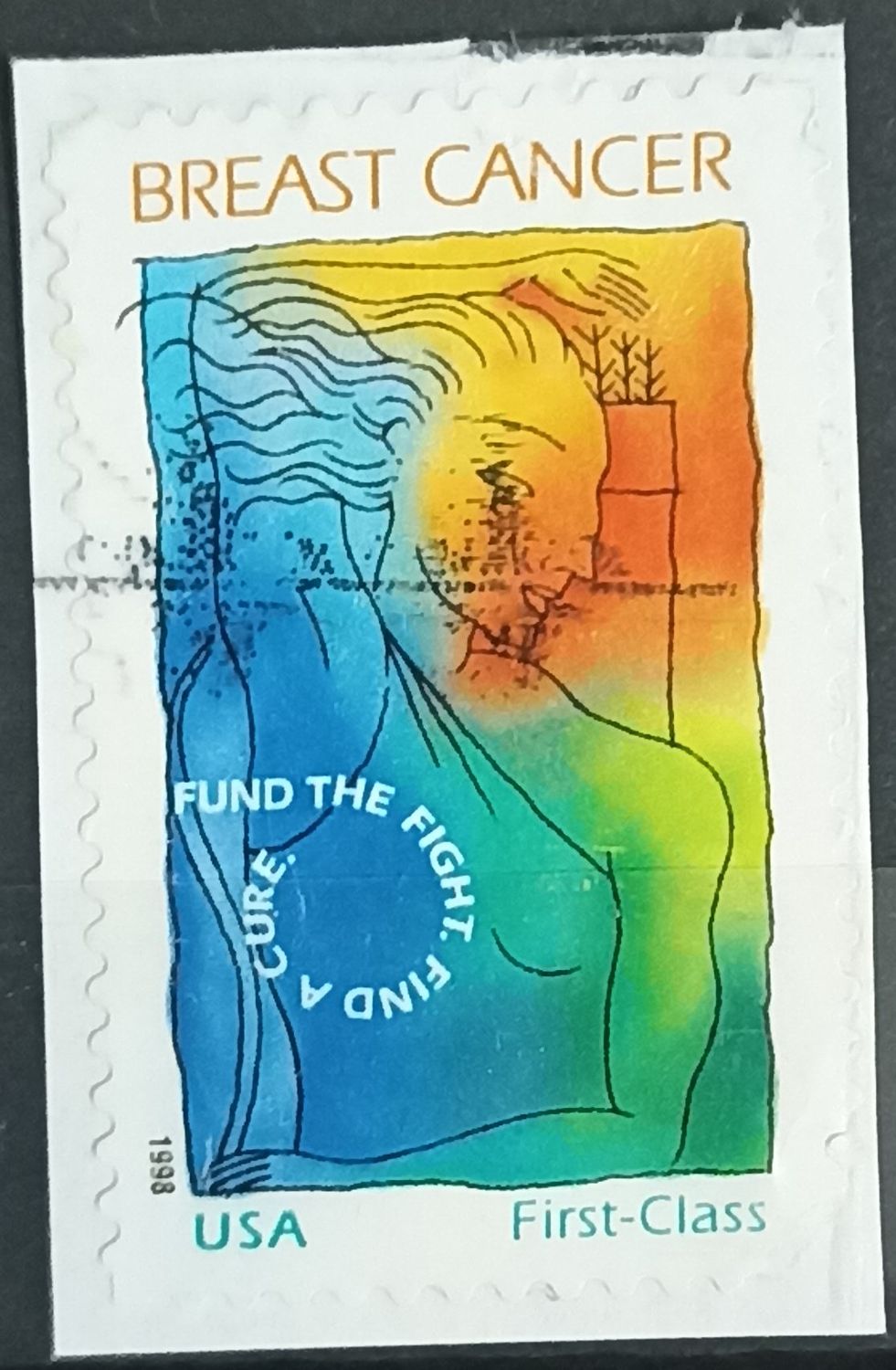 ESTADOS UNIDOS 1998, Cáncer de Mama