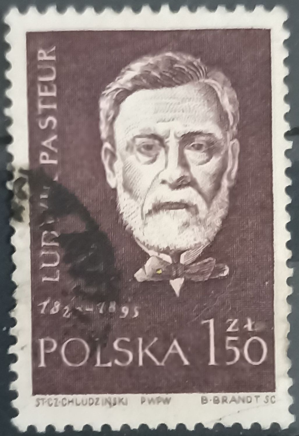 POLONIA 1959, Louis Pasteur