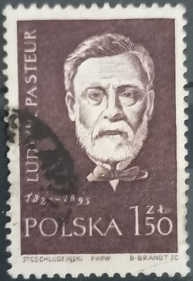 POLONIA 1959, Louis Pasteur