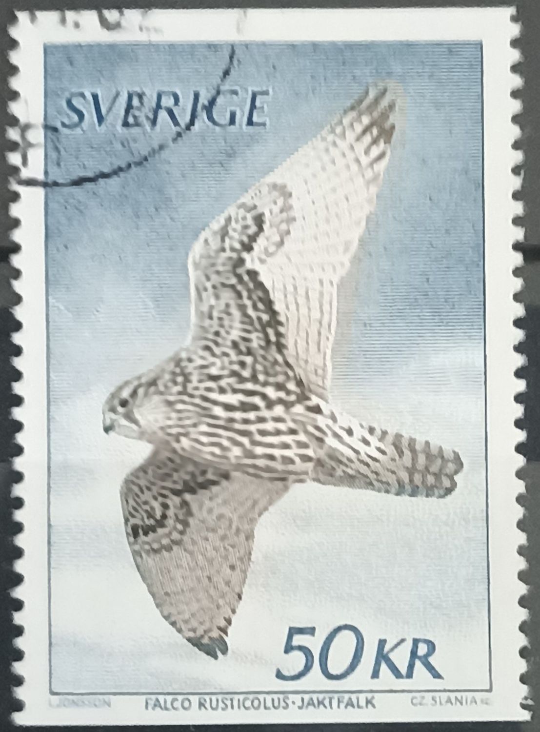 SUECIA 1989, Halcón Gerifalte