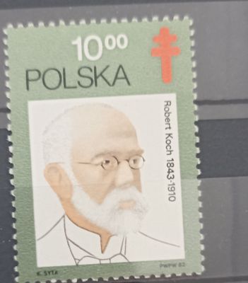 Polonia 1962, Robert Koch