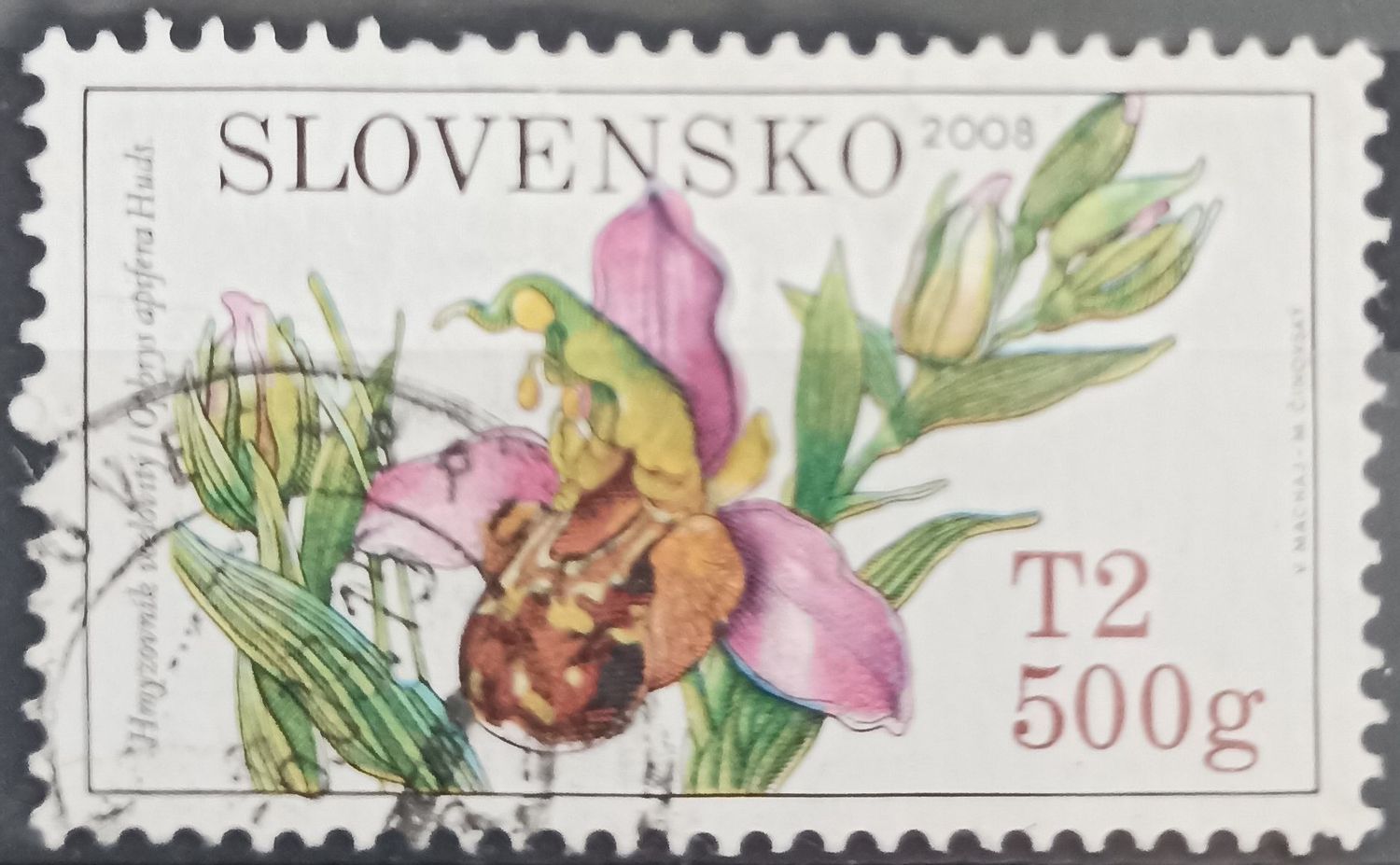 Eslovaquia 2008, Hmyzovník včelonosný - Ophrys apifera Huds, orquídea abeja