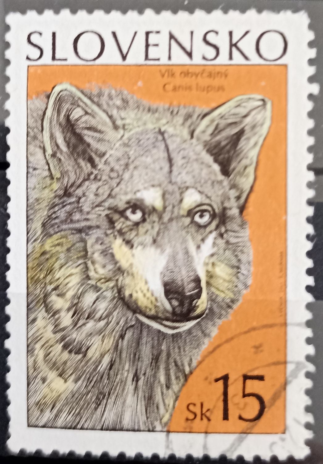 Eslovaquia 1993, Vlk obyčajný - Canis lupus - Lobo común
