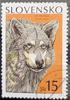 Eslovaquia 1993, Vlk obyčajný - Canis lupus - Lobo común