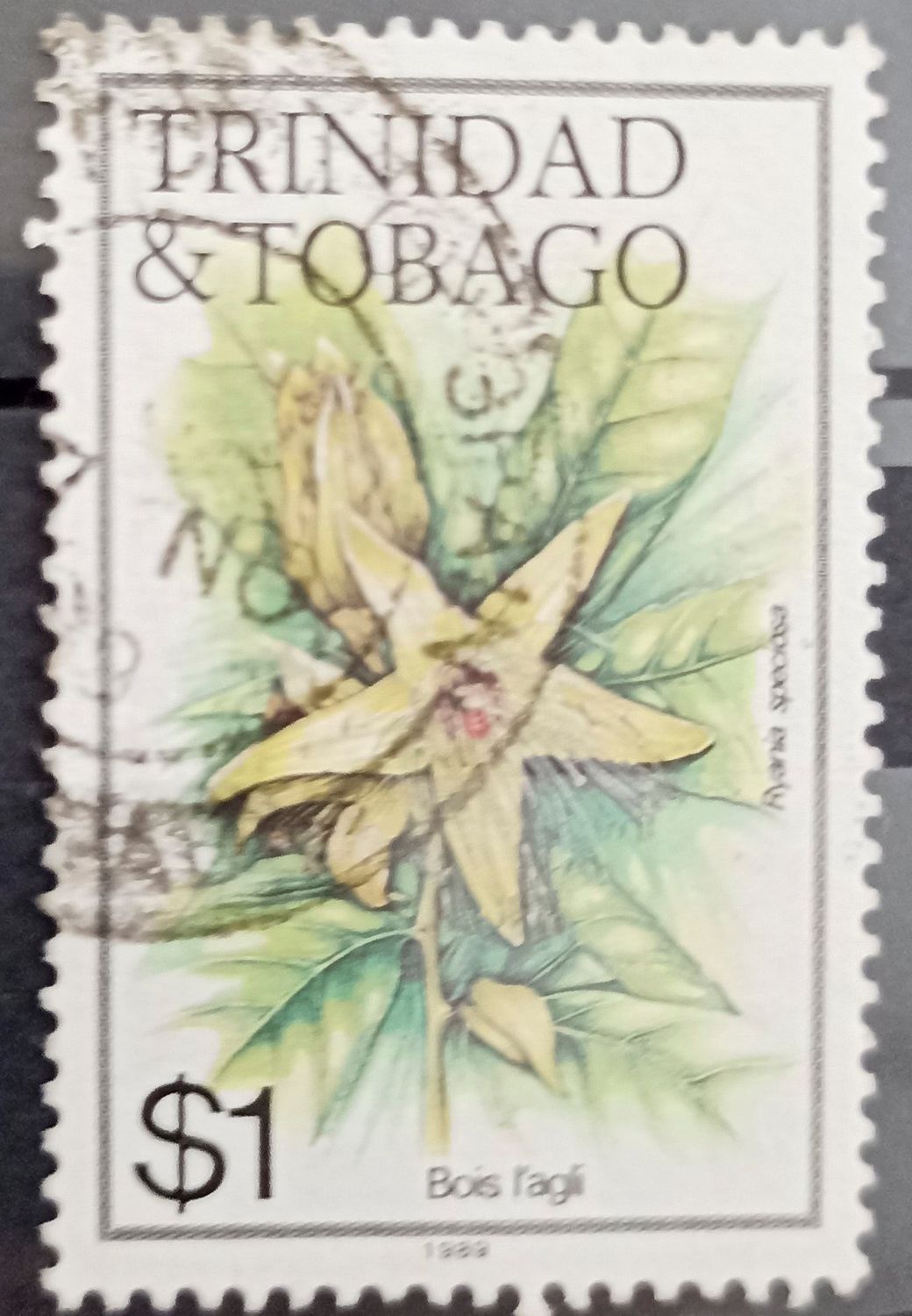 Trinidad y Tobago 1989, Bois l'ail - Ajo de monte (Capaia? - flor amarilla estrellada)