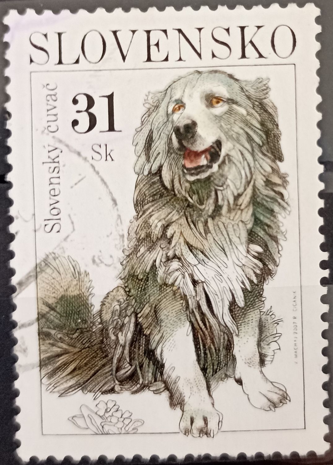 Eslovaquia 2002, Perro Pastor Eslovaco - Slovenský čuvač