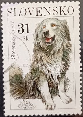 Eslovaquia 2002, Perro Pastor Eslovaco - Slovenský čuvač