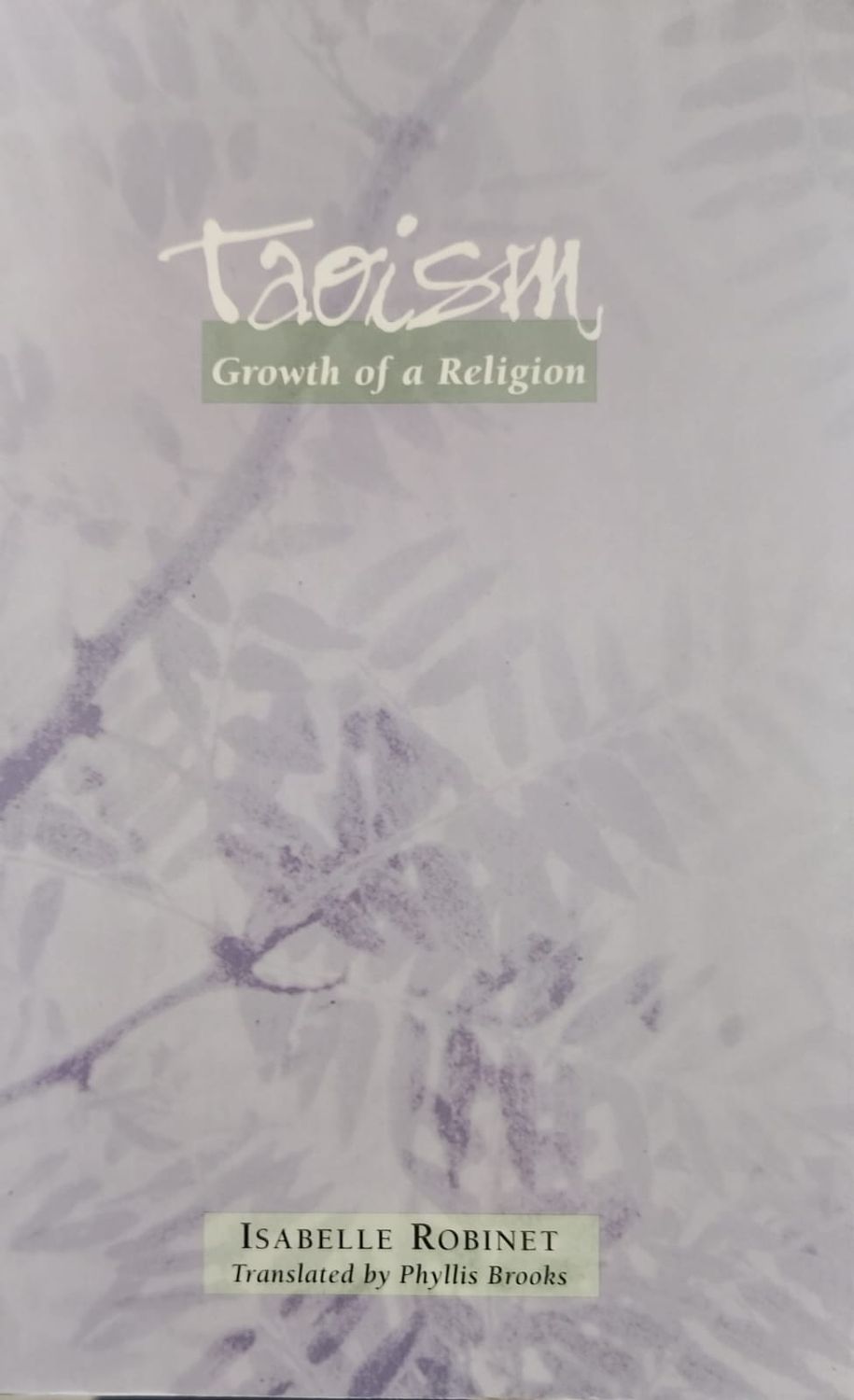 Taoism: Growth of a Religion – Isabelle Robinet