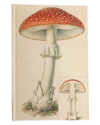 001  Amanita
