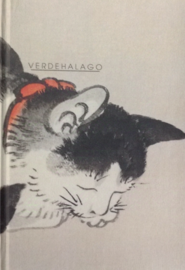 028 Gato