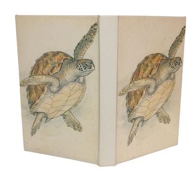 012 Tortuga