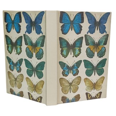 002 Mariposas