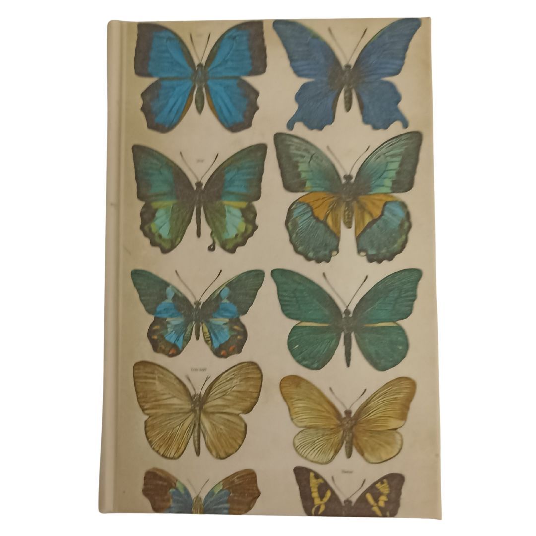 002 Mariposas