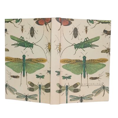 008 Insectos