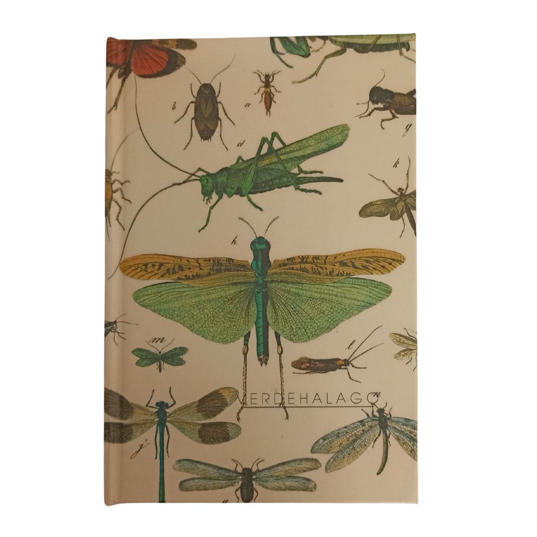 008 Insectos