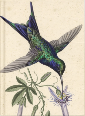 048 Colibrí 02