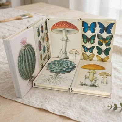 Paquete 6 libretas por 626 pesos