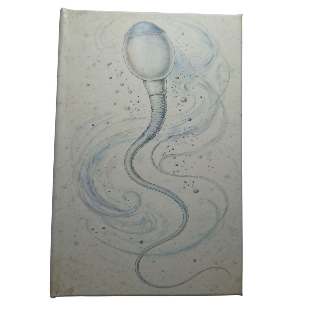056 Espermatozoide