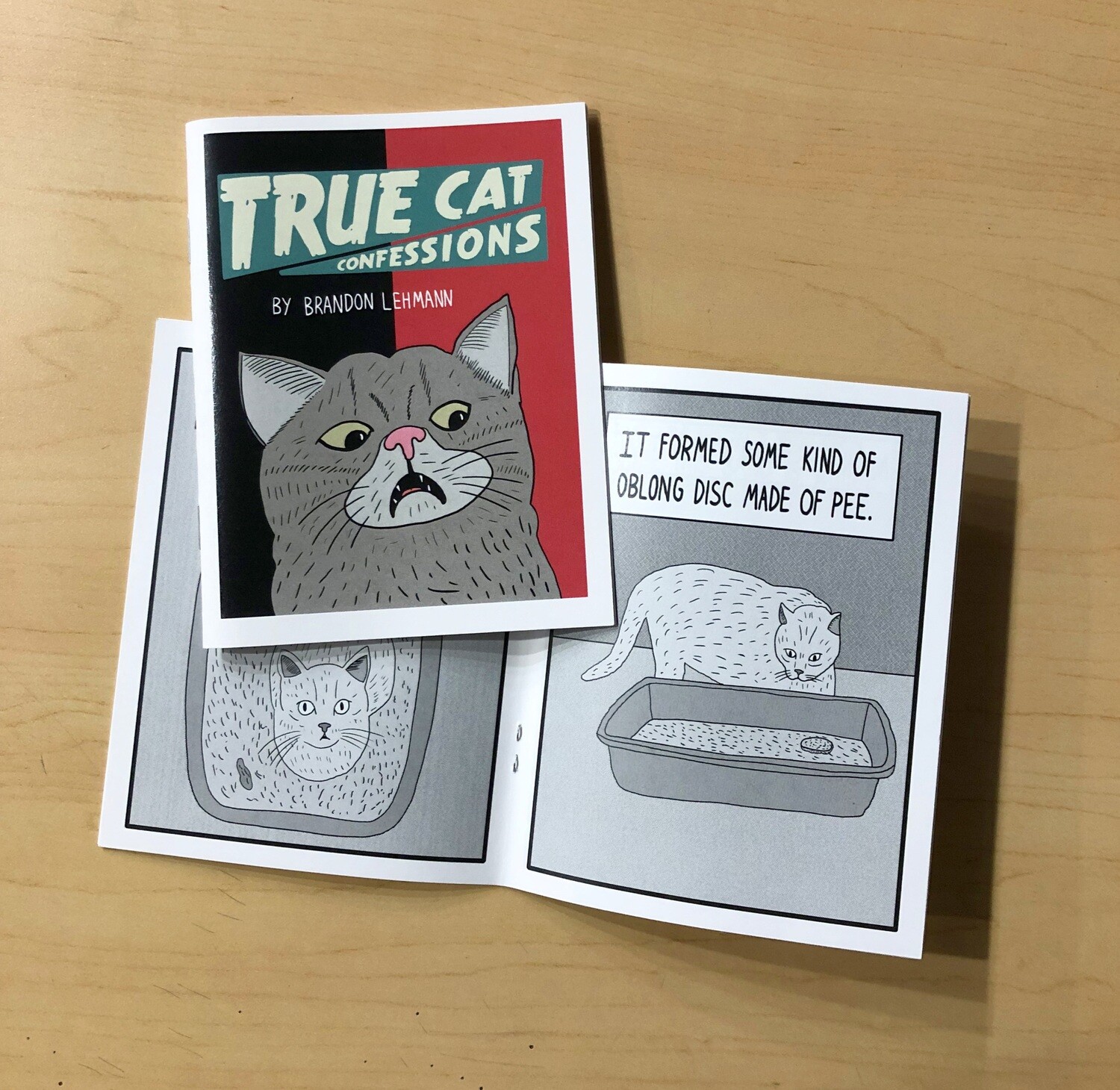 True Cat Confessions - Comic by Brandon Lehmann