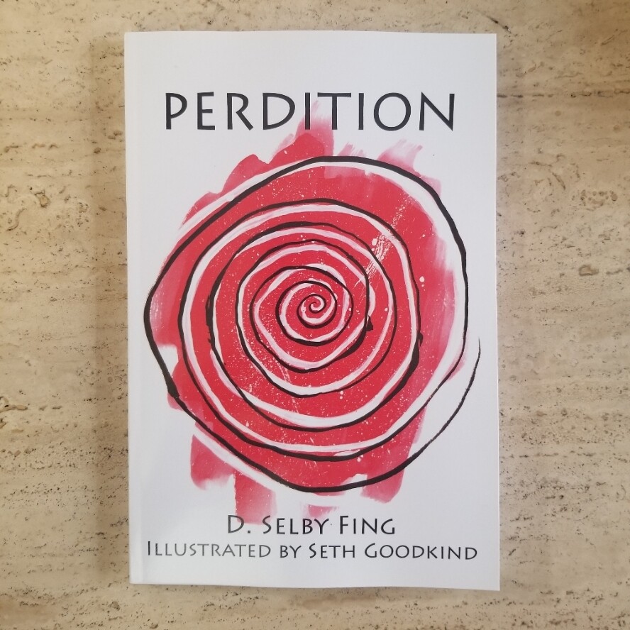 Perdition - Book by D. Selby Fing and Seth Goodkind