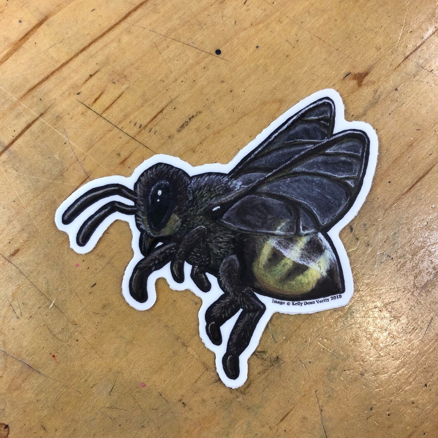 Honey Bee - Sticker by Kelly Dean Verity