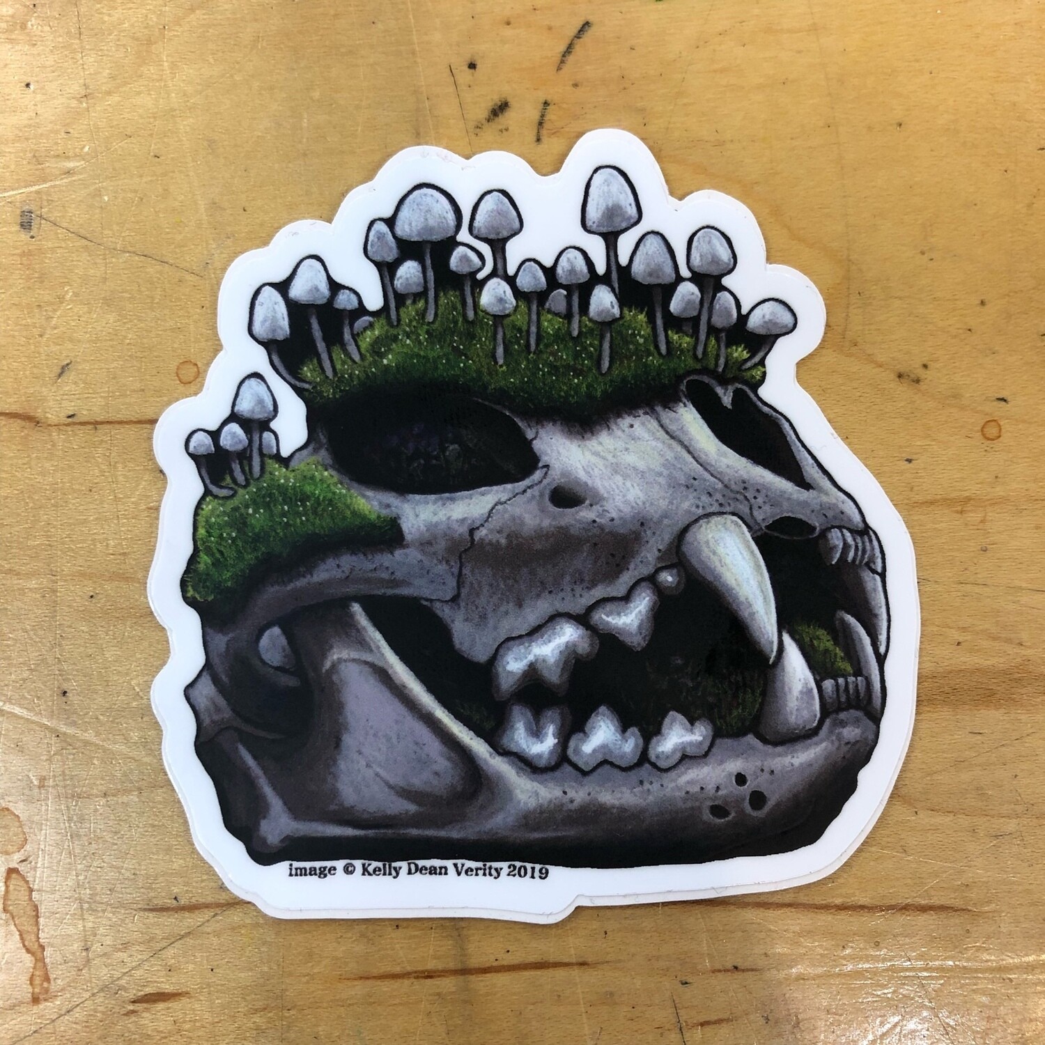 Mountain Lion Skull with Mushrooms - Sticker by Kelly Dean Verity