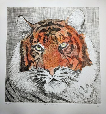 Paper Tiger - Limited Print by Lynn Rosskamp