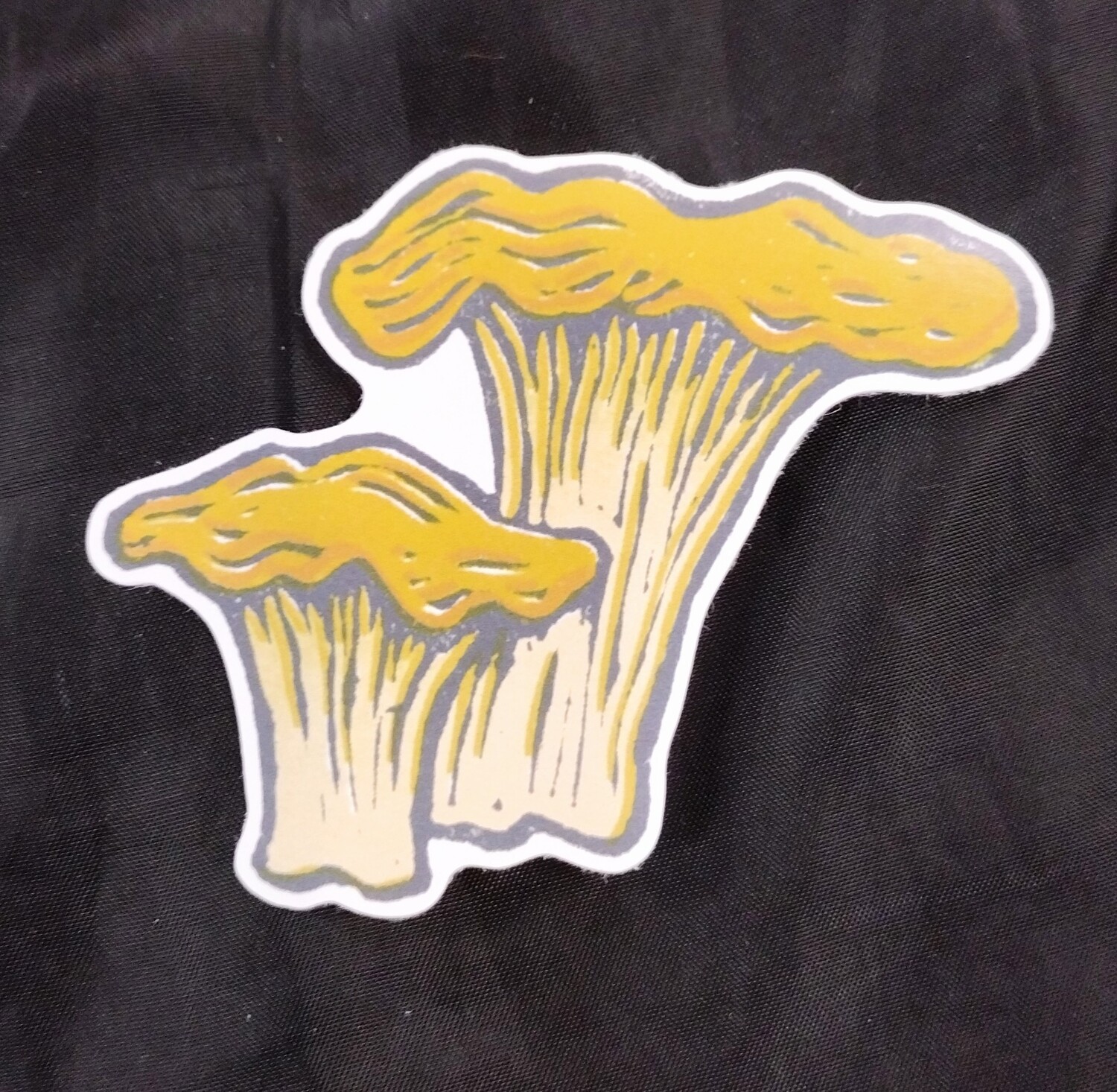Root & Branch Chanterelle Mushroom Eco-Friendly Paper Sticker
