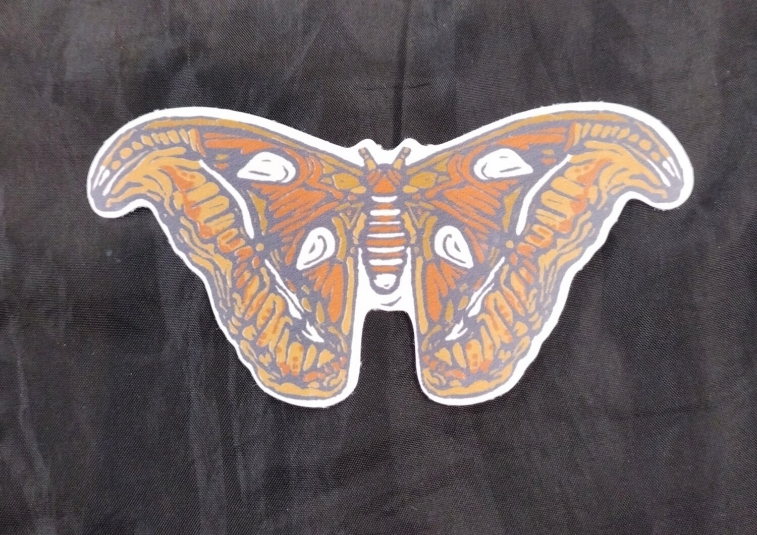 Root & Branch Atlas Moth Eco-Friendly Paper Sticker