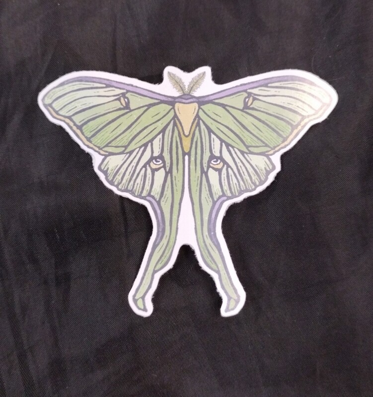 Root &amp; Branch Luna Moth Butterfly Eco-Friendly Paper Sticker